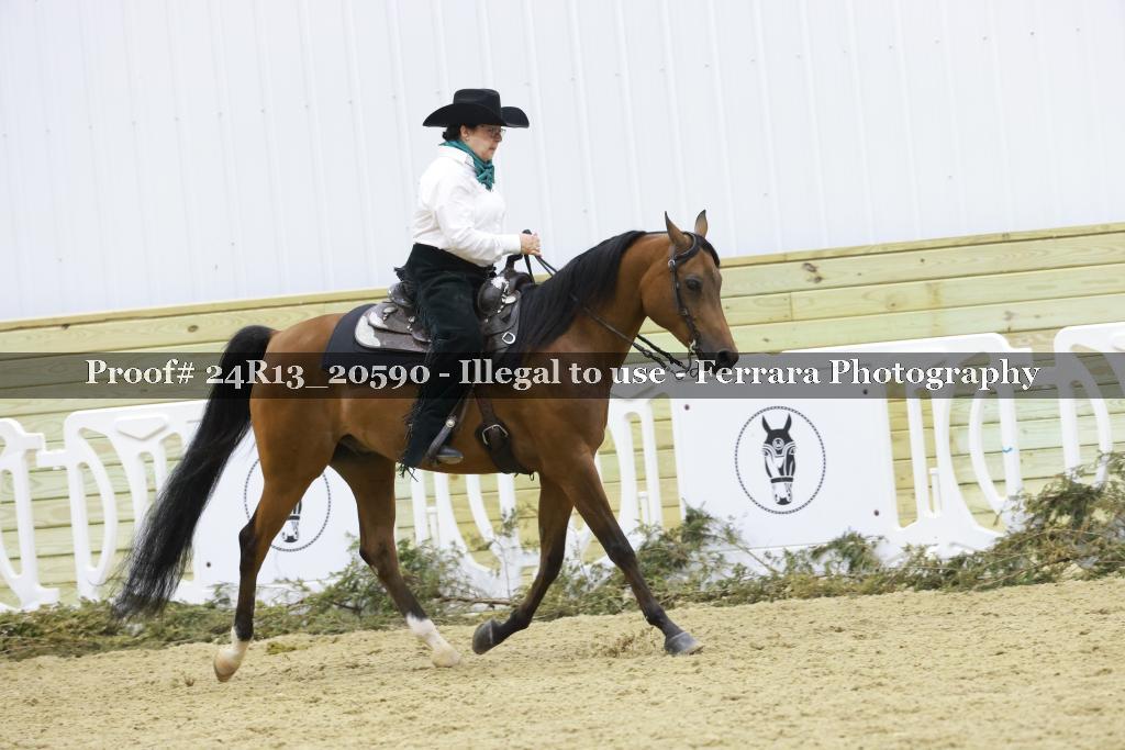 Proof 24R13_20590