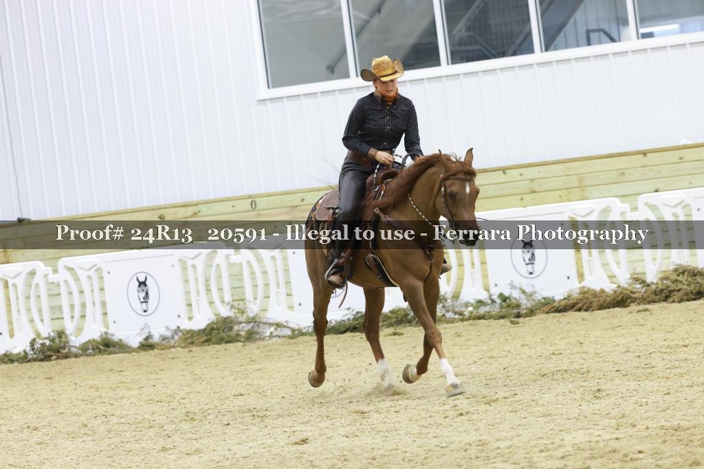 Proof 24R13_20591