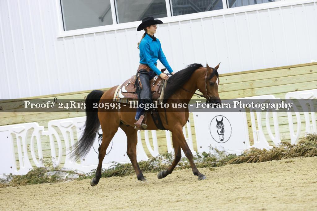 Proof 24R13_20593