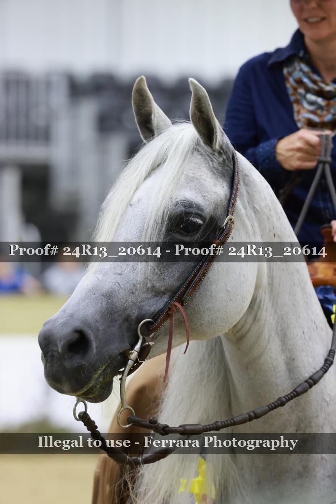 Proof 24R13_20614