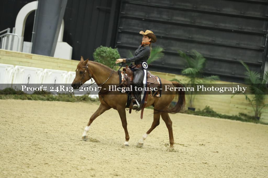 Proof 24R13_20617