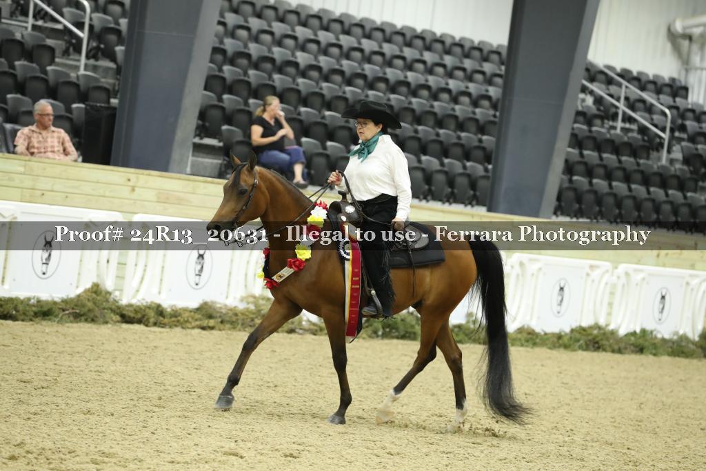 Proof 24R13_20631