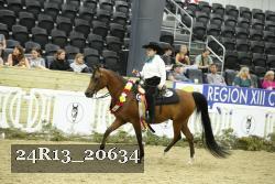 24R13_20634 proof