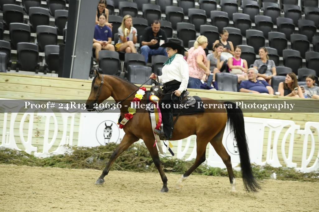 Proof 24R13_20636