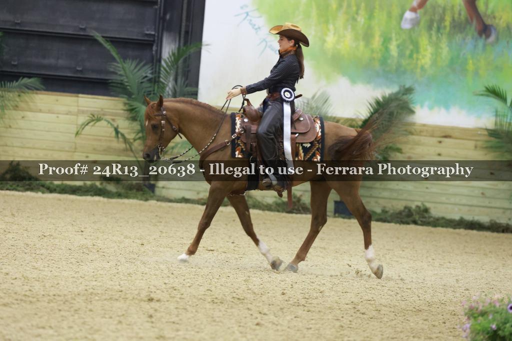 Proof 24R13_20638