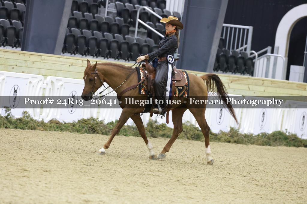 Proof 24R13_20641