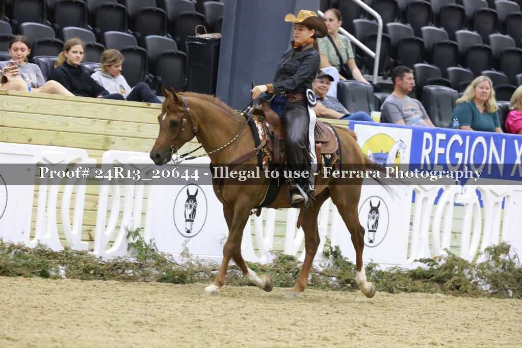 Proof 24R13_20644