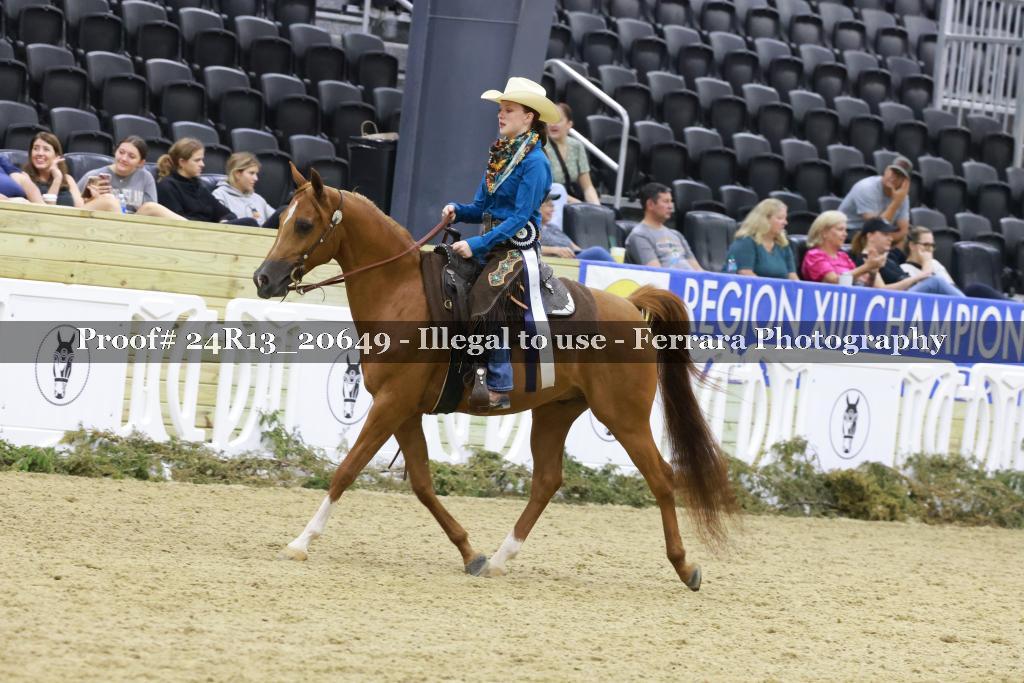 Proof 24R13_20649