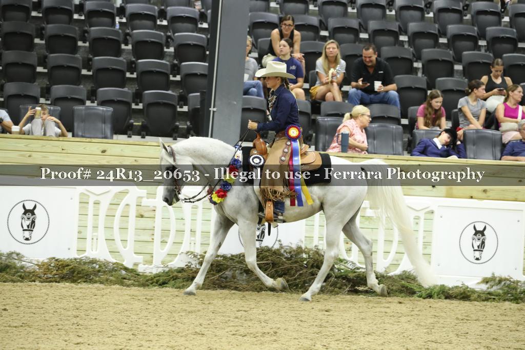Proof 24R13_20653