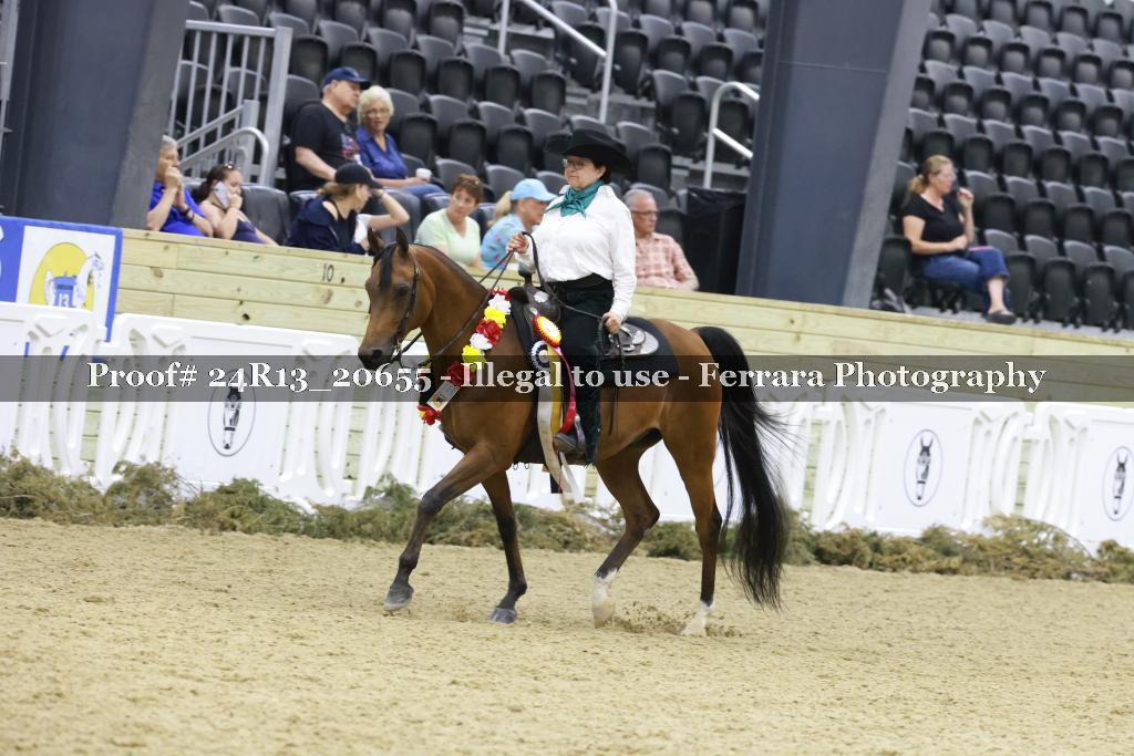 Proof 24R13_20655