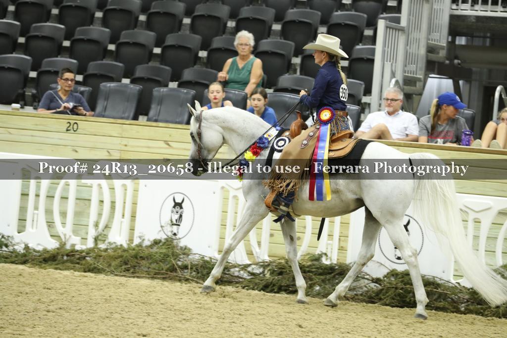 Proof 24R13_20658