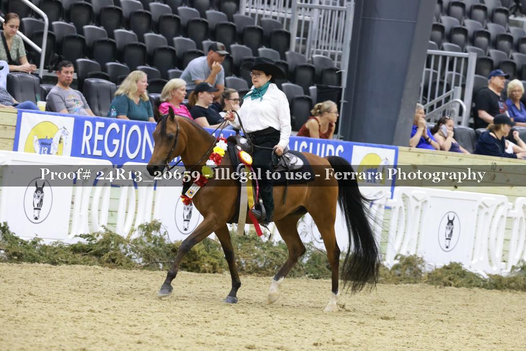 Proof 24R13_20659