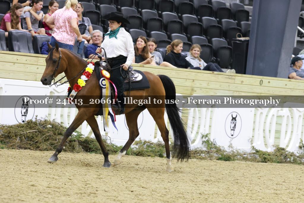 Proof 24R13_20661
