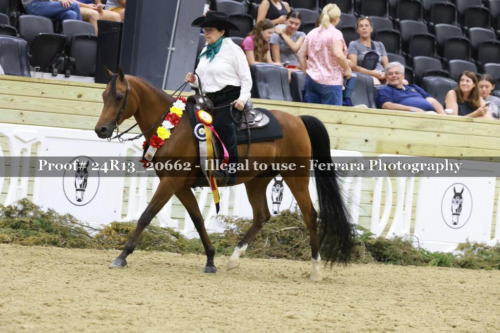 Proof 24R13_20662