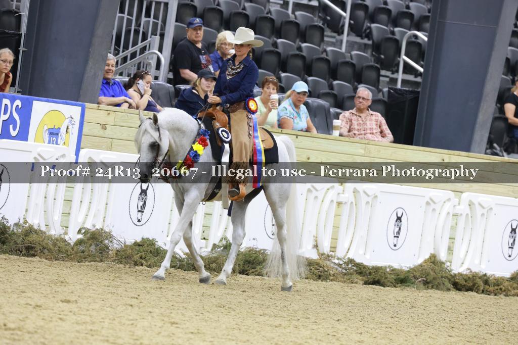 Proof 24R13_20667