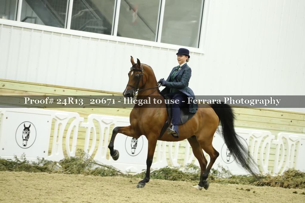 Proof 24R13_20671