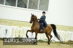 24R13_20671 proof