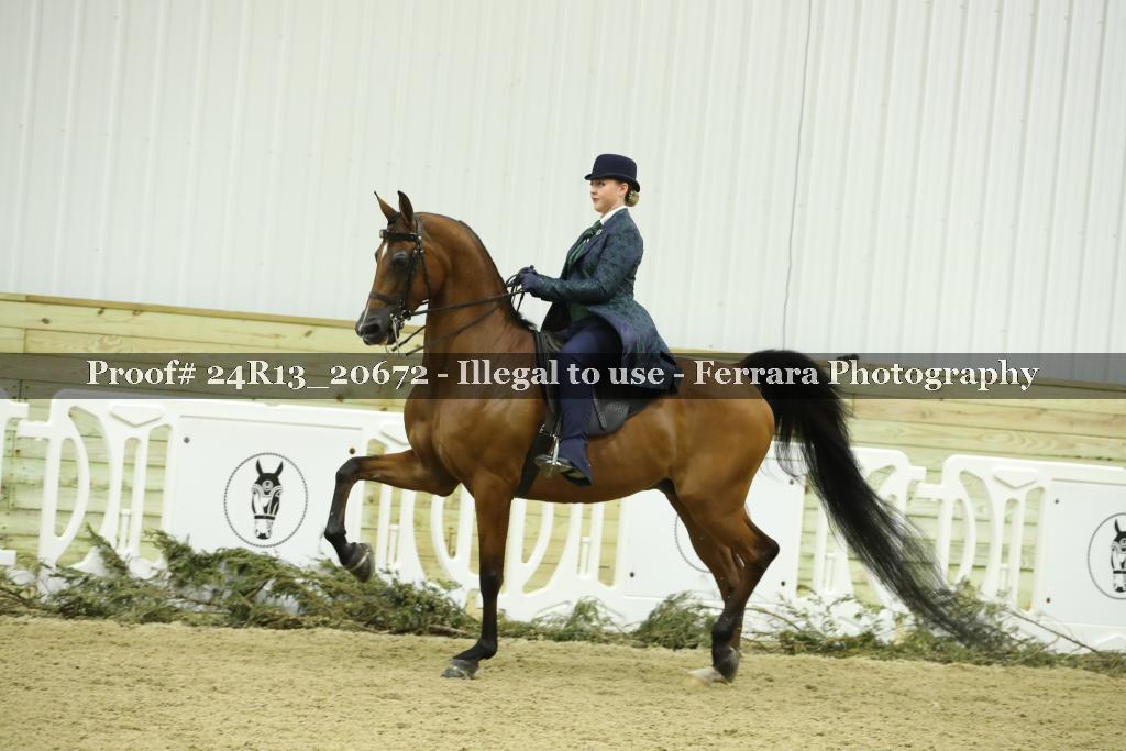 Proof 24R13_20672