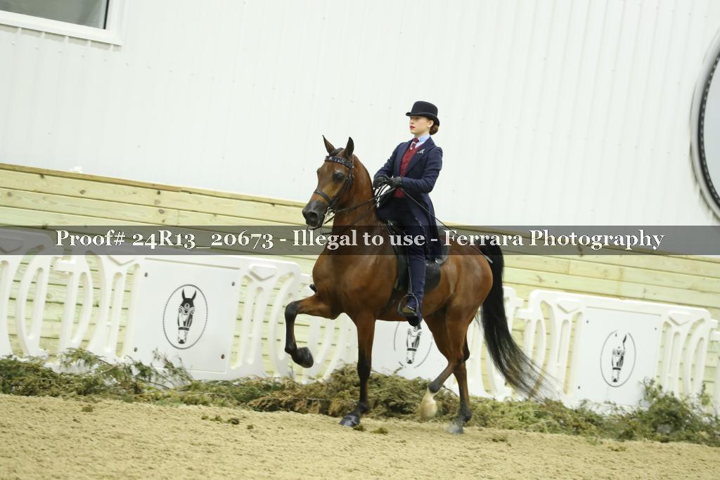 Proof 24R13_20673