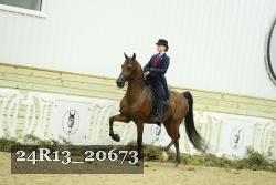 24R13_20673 proof