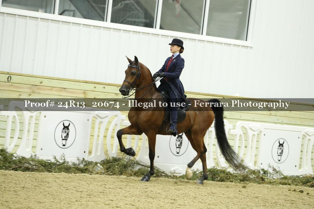 Proof 24R13_20674