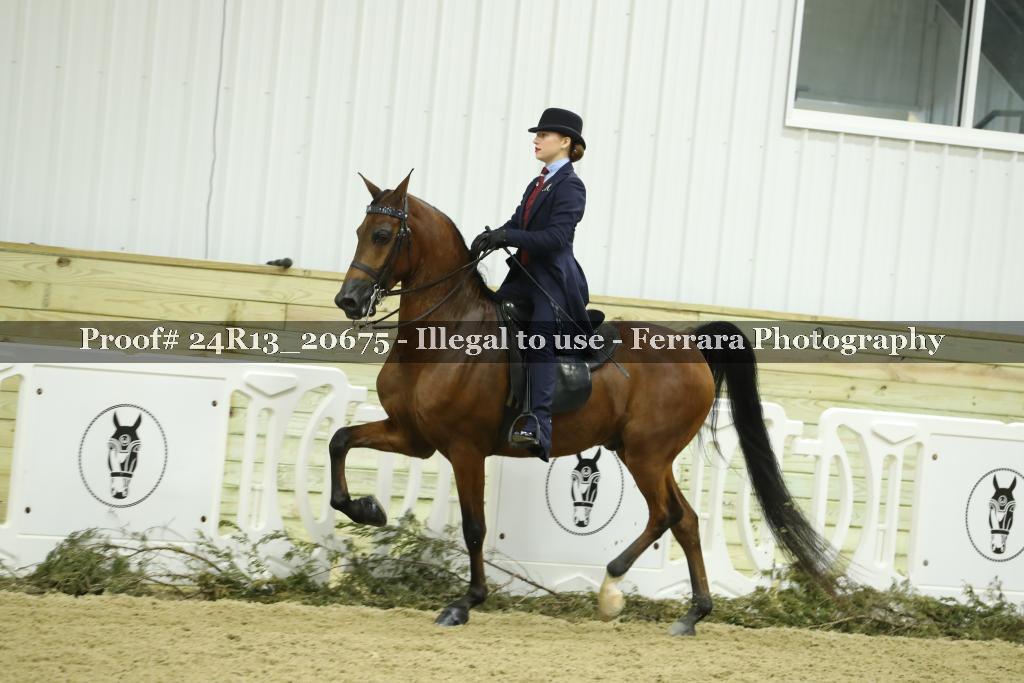 Proof 24R13_20675