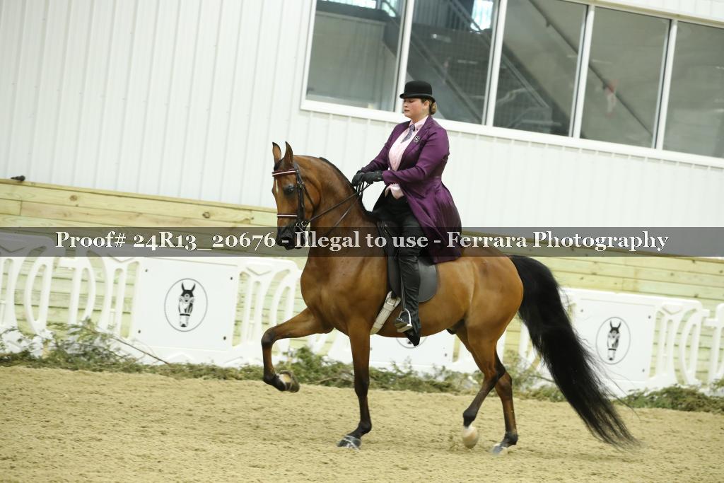 Proof 24R13_20676