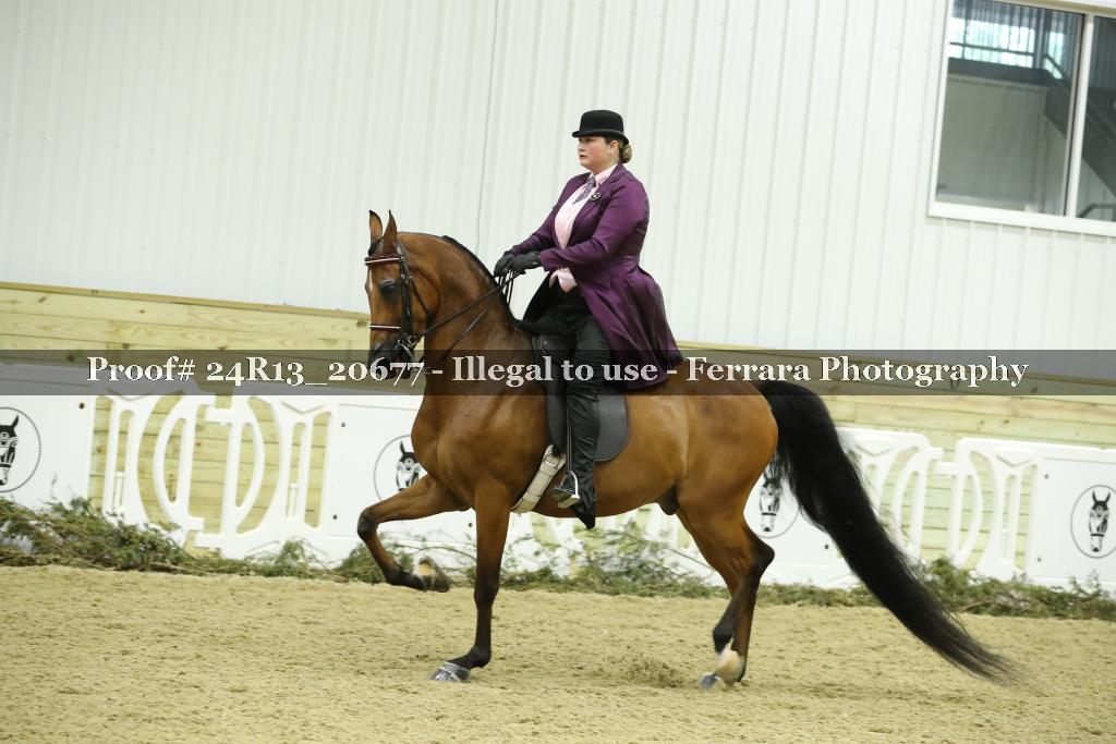 Proof 24R13_20677