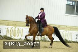 24R13_20677 proof