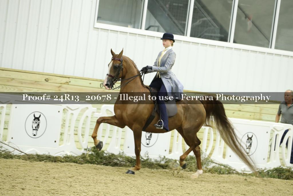 Proof 24R13_20678