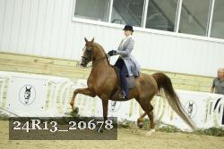 24R13_20678 proof