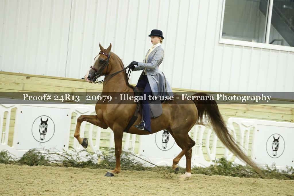 Proof 24R13_20679