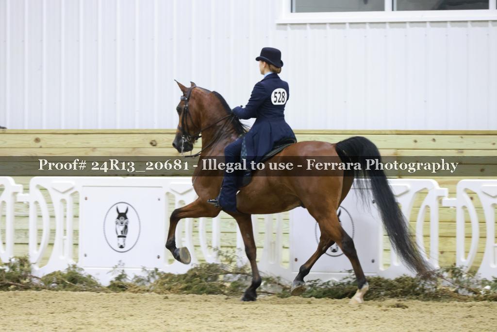 Proof 24R13_20681