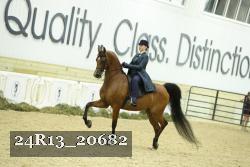 24R13_20682 proof