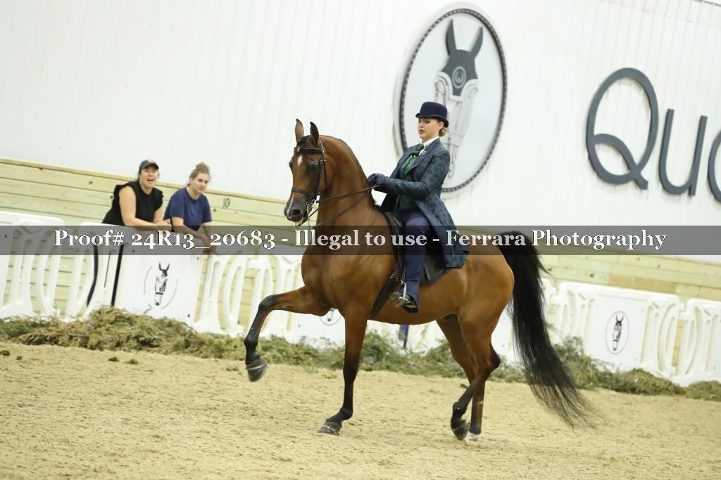 Proof 24R13_20683