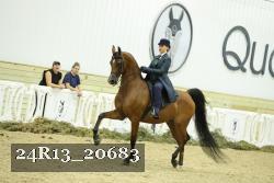 24R13_20683 proof