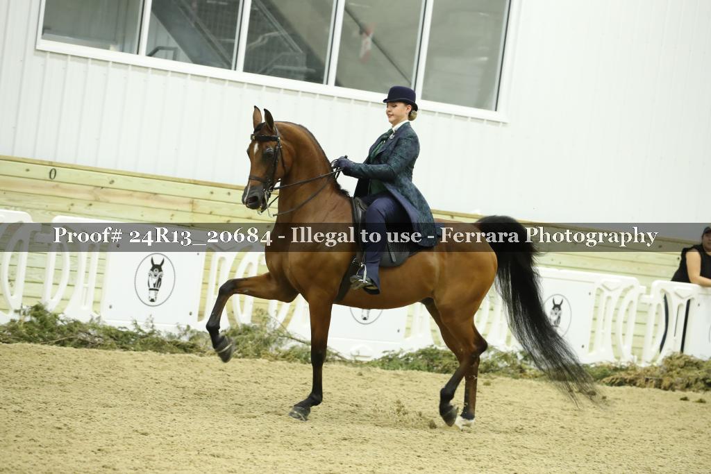 Proof 24R13_20684