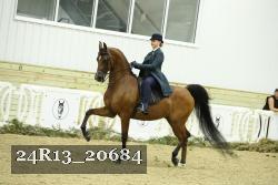 24R13_20684 proof