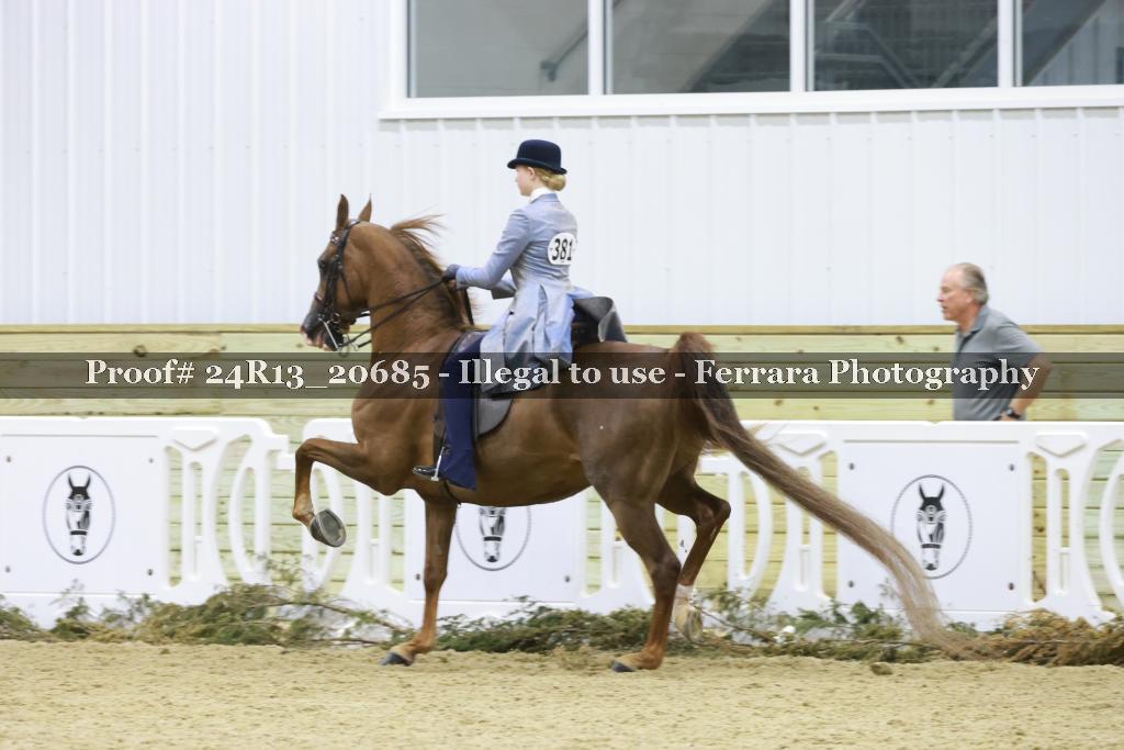Proof 24R13_20685