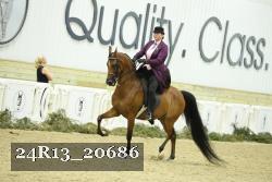 24R13_20686 proof
