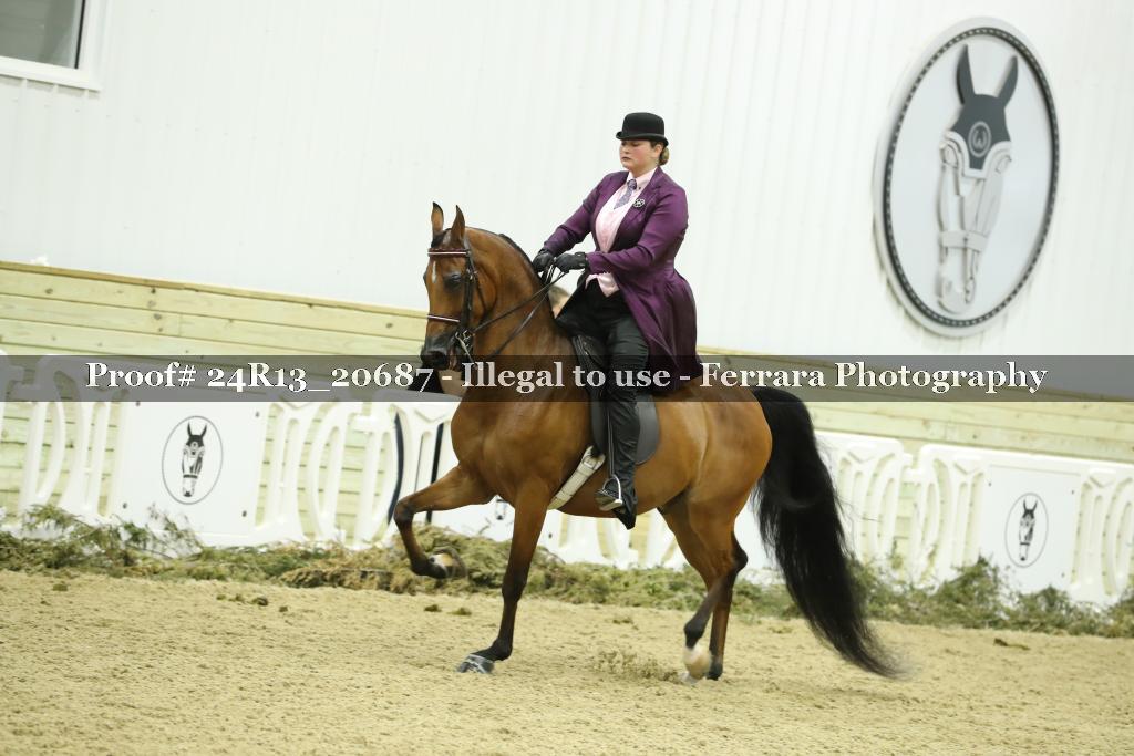 Proof 24R13_20687