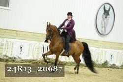 24R13_20687 proof