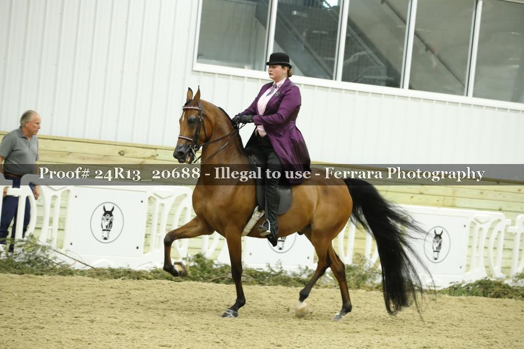 Proof 24R13_20688