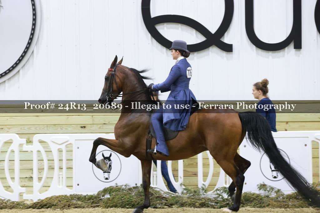 Proof 24R13_20689