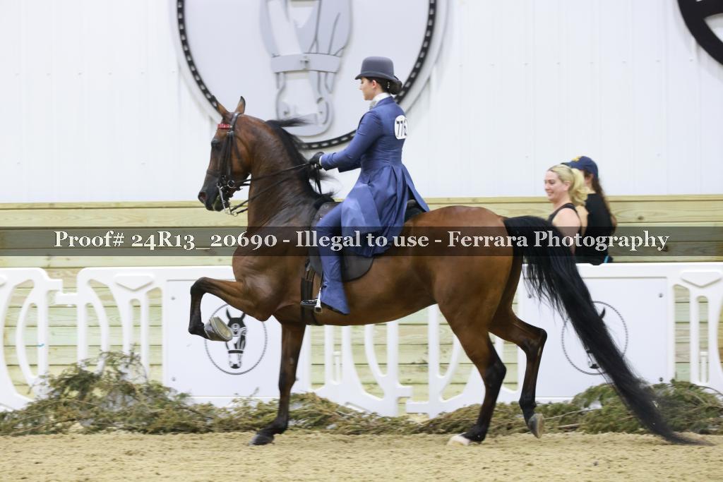 Proof 24R13_20690