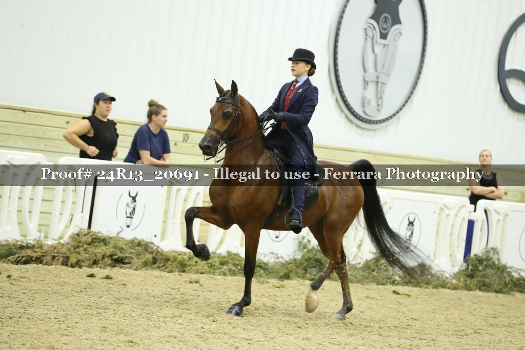 Proof 24R13_20691