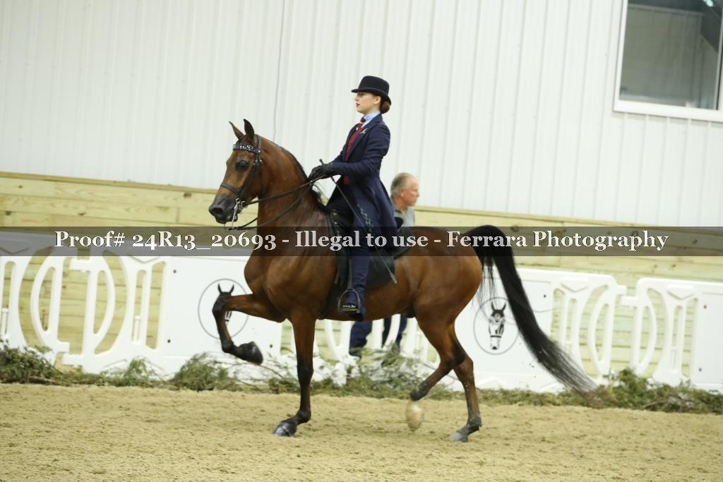 Proof 24R13_20693
