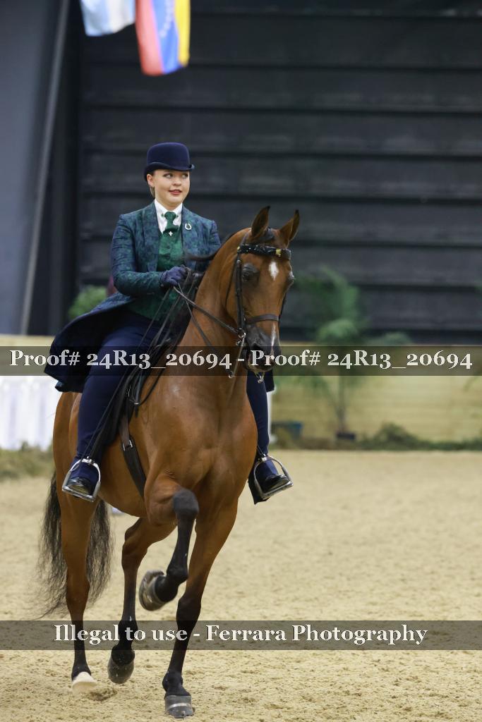 Proof 24R13_20694