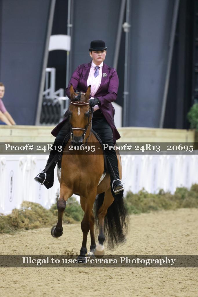 Proof 24R13_20695