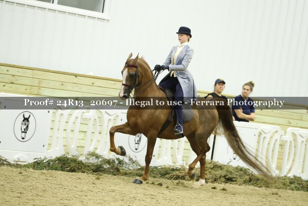 Proof 24R13_20697